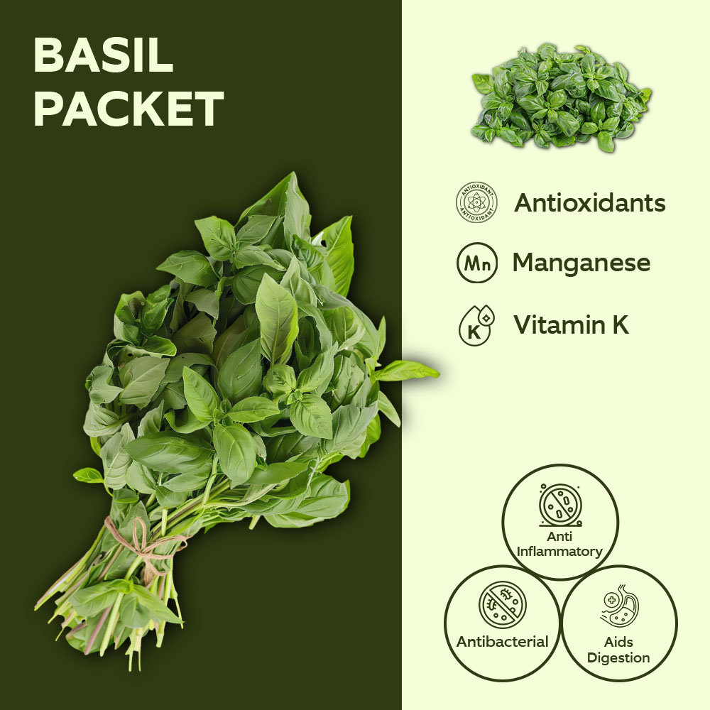 Dar Aqua Green Basil [Per Pack] lifestyle image