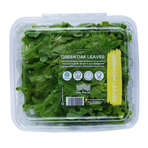Dar Aqua Green Oak Leaf Lettuce [Per Packet] – Available at Alosra Online Supermarket