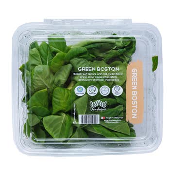 Dar Aqua Green Boston Lettuce Packet 