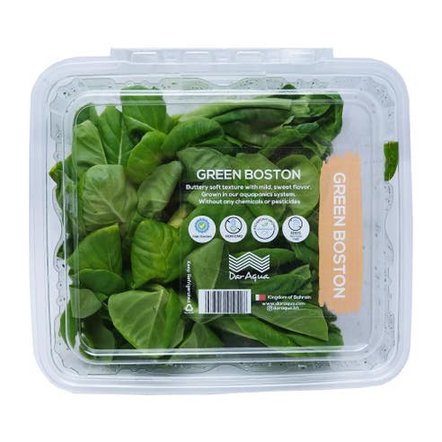Dar Aqua Green Boston Lettuce Packet 