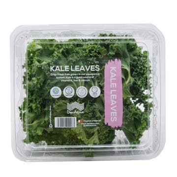 Dar Aqua Kale Leaves [Per Packet] 