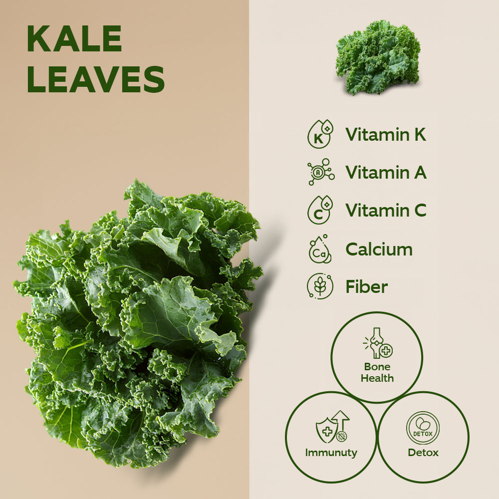 Dar Aqua Kale Leaves [Per Packet] lifestyle image