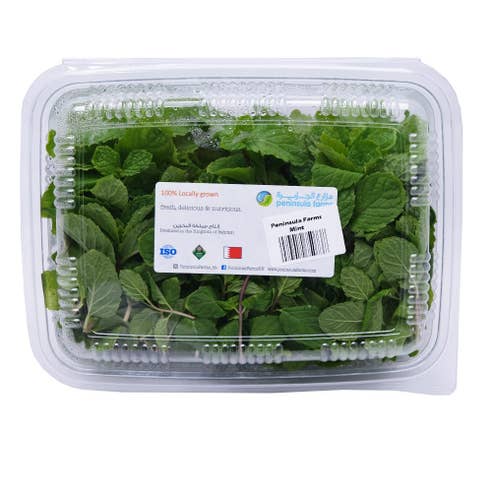 Peninsula Farms Fresh Mint Punnet 250g 