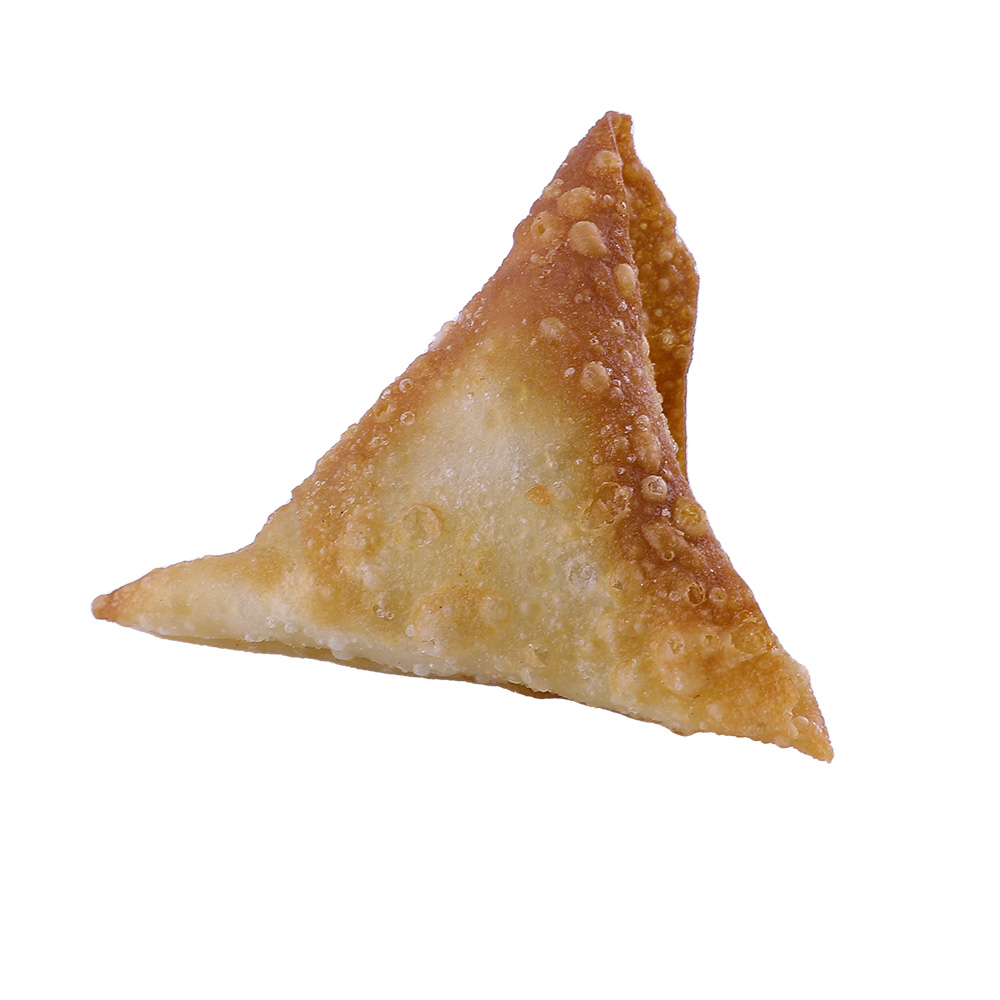 Chicken Tandoori Samosa 