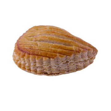 Organic Apple Turnover 