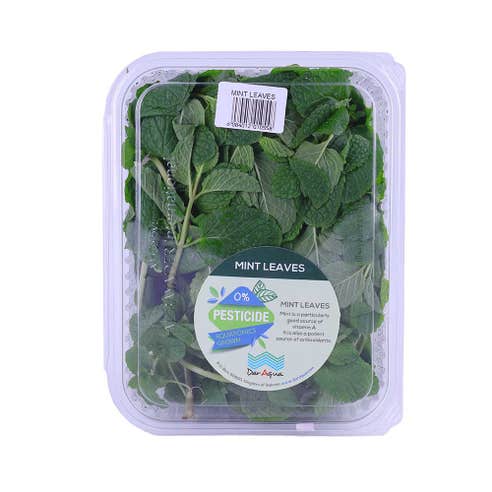 Dar Aqua Mint Leaves Fresh 