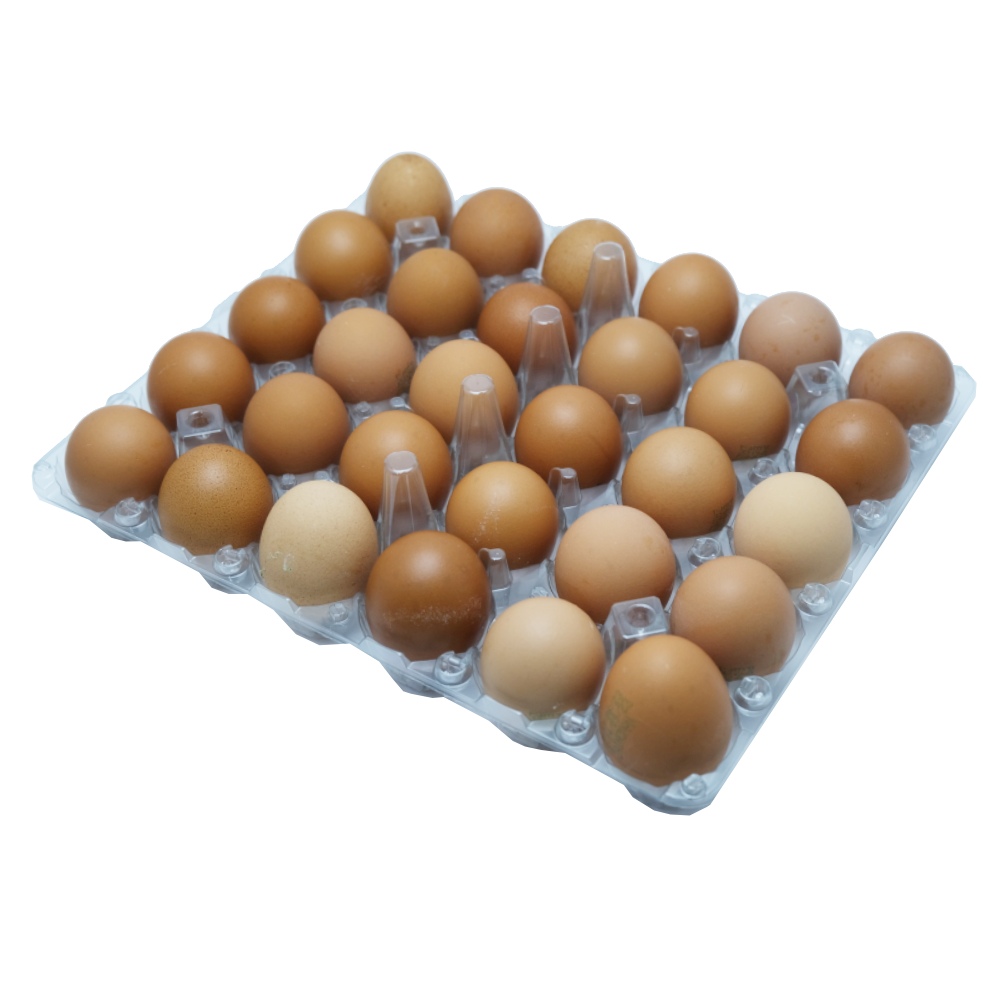 Al Zain Medium Brown Eggs 30 Pack back image