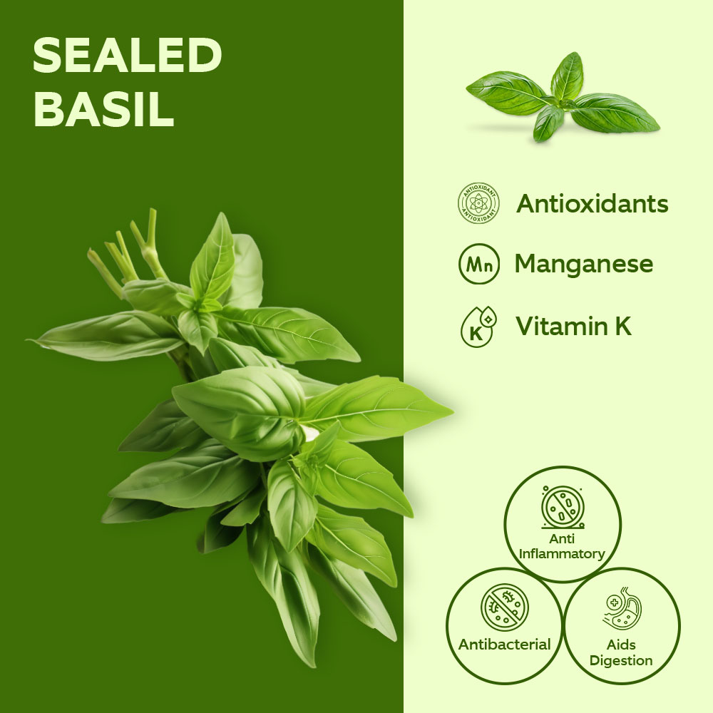 3Kg Fresh Market Sealed Basil 100g lifestyle image