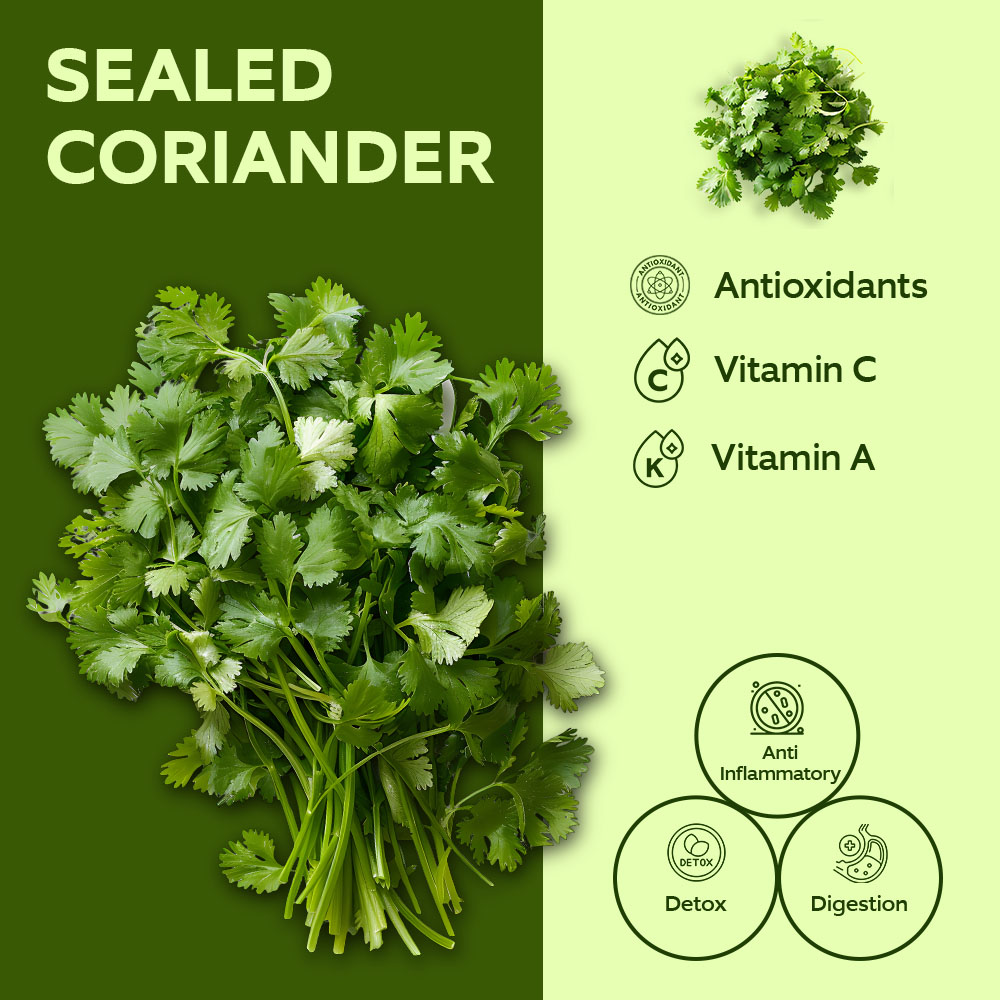 3Kg Fresh Market Sealed Coriander 100g lifestyle image
