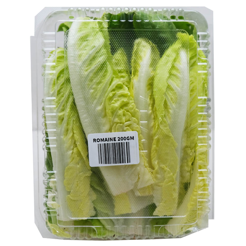 Dar Aqua Romaine Leaves Box 200g back image