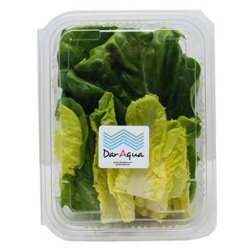 Dar Aqua Romaine Leaves Box 200g 