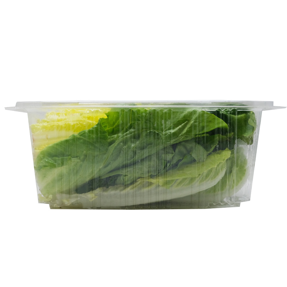 Dar Aqua Romaine Leaves Box 200g right side image