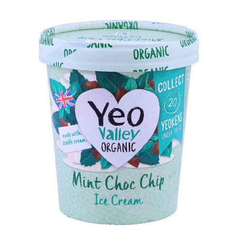 Yeo Valley Organic Mint Choc Chip Ice Cream 500ml 