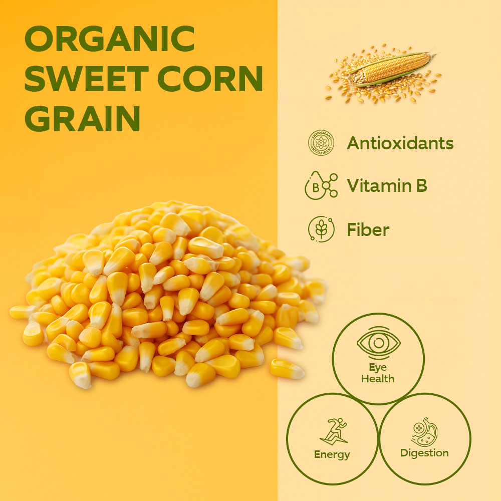 Bonduelle Organic Sweet Corn Grain 300g lifestyle image