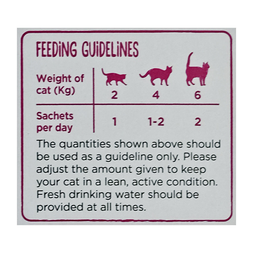 Webbox Lick-e-Lix Salmon Yoghurt Cat Treat 75g right side image