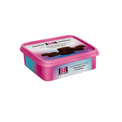 Baskin Robbins Mississippi Mud Ice Cream Bites 192ml 