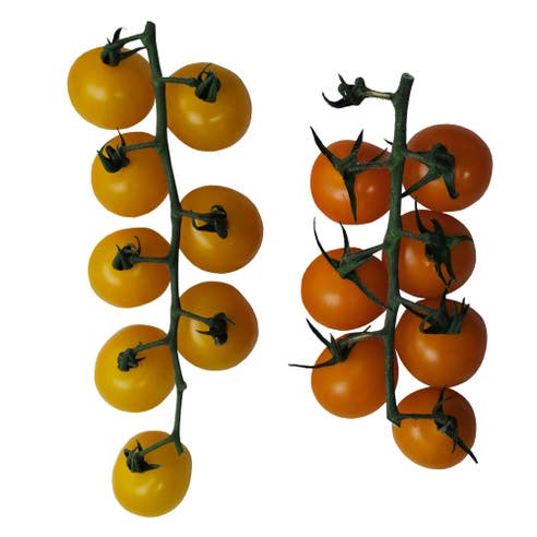 Tomato Cherry 4 Colors Import [Per Kg] 