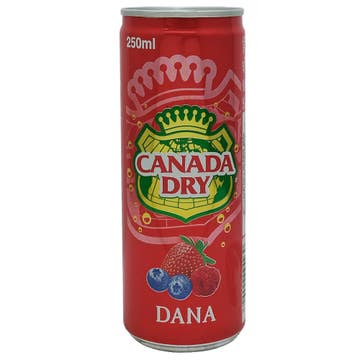 Canada Dry Dana Drink 250ml