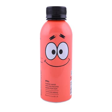 Path Patrick Still Purified Water 500ml