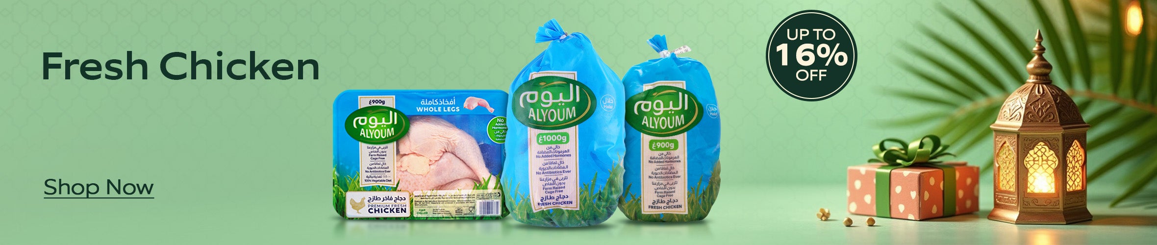 FW - Alyoum BrandW11