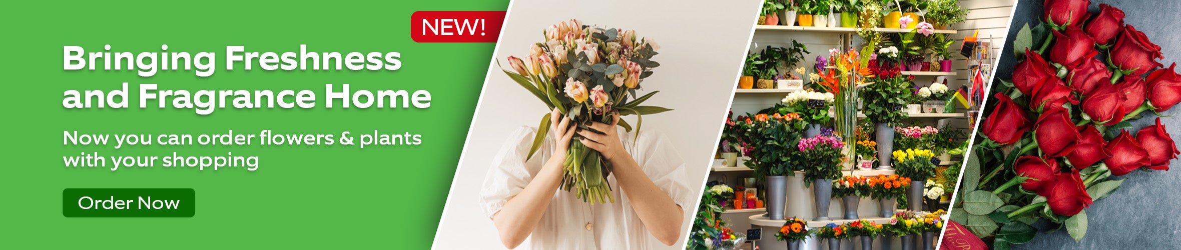 FW - Flowers & Plants